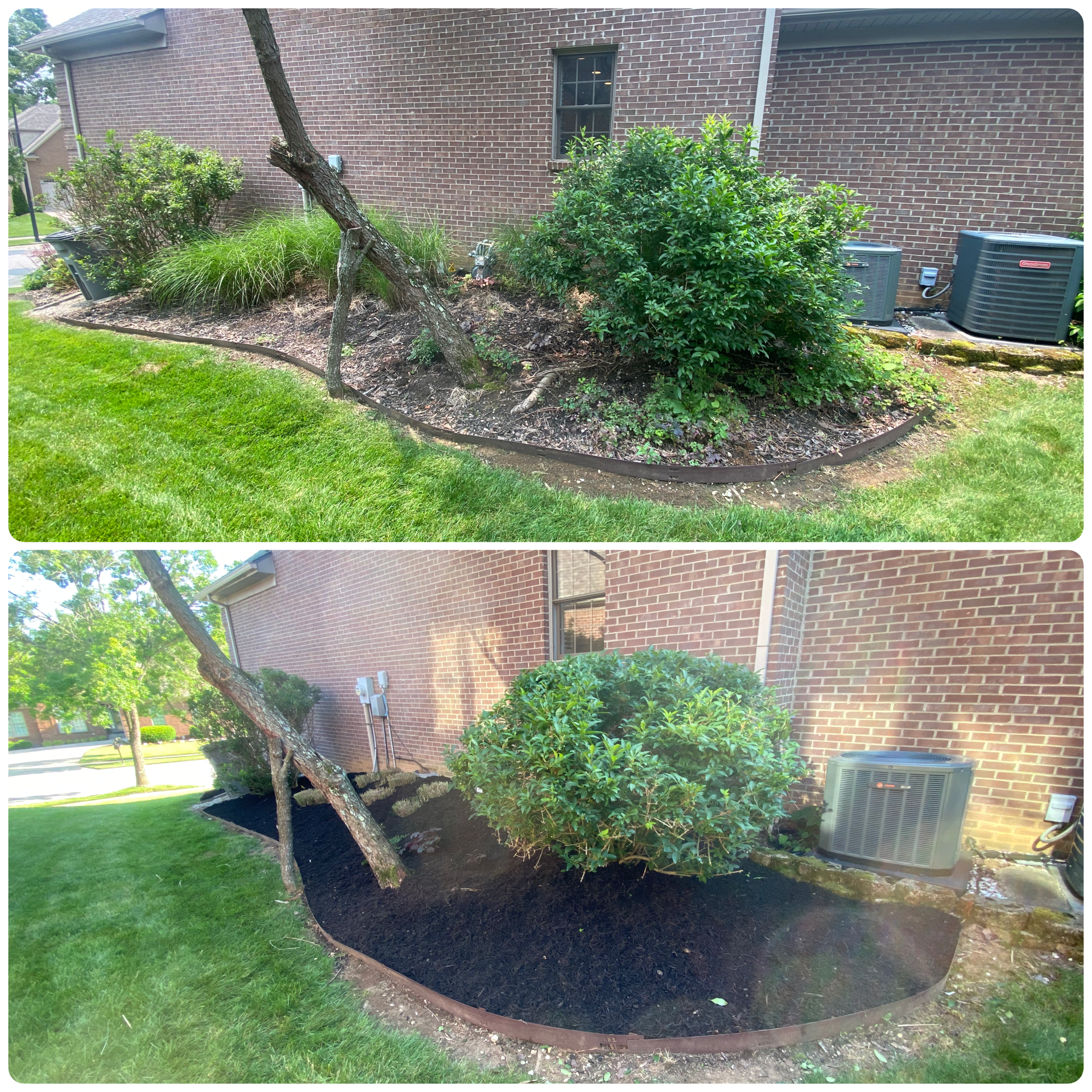 Side yard bed cleanup and mulch before and after