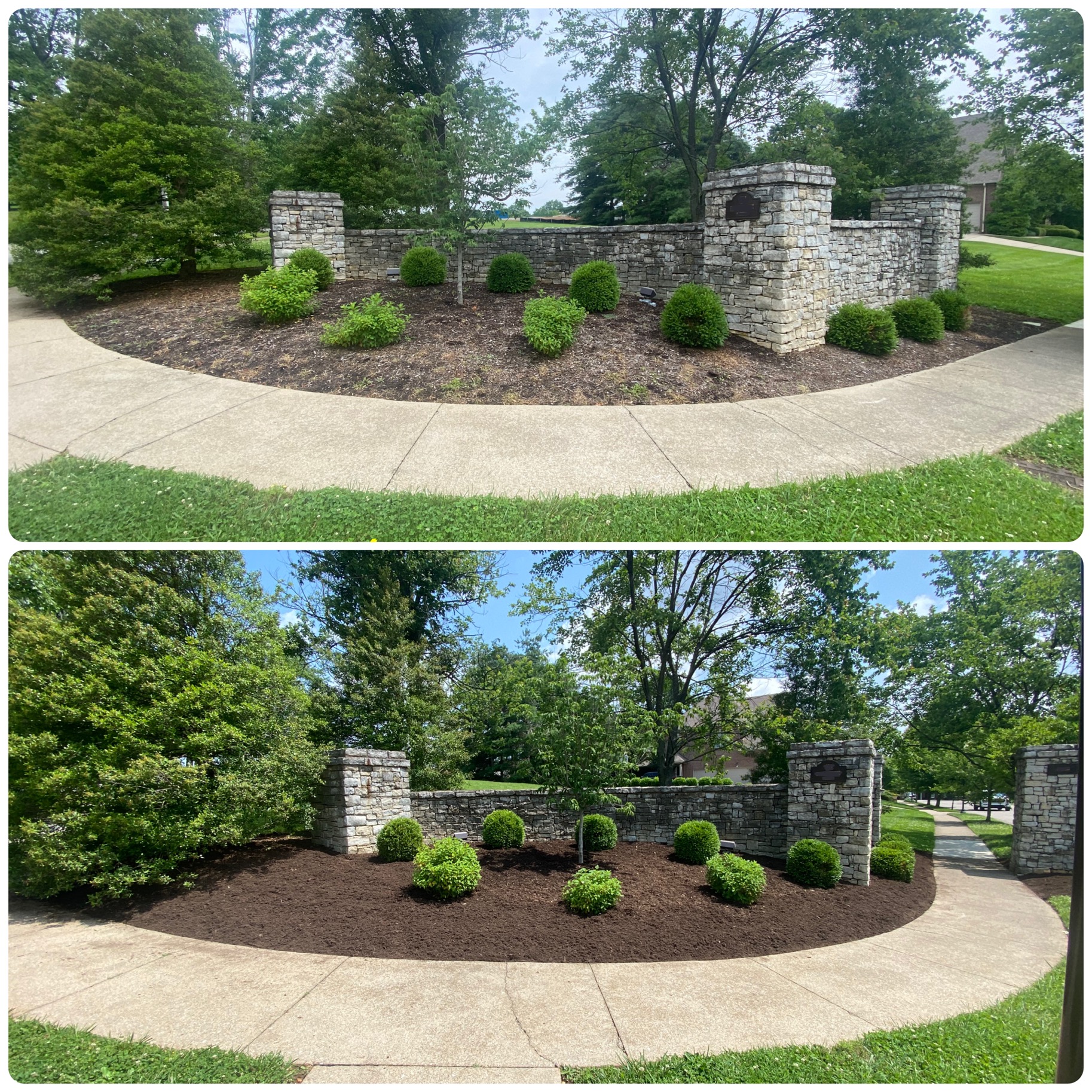 Stone wall entrance shrub install before and after