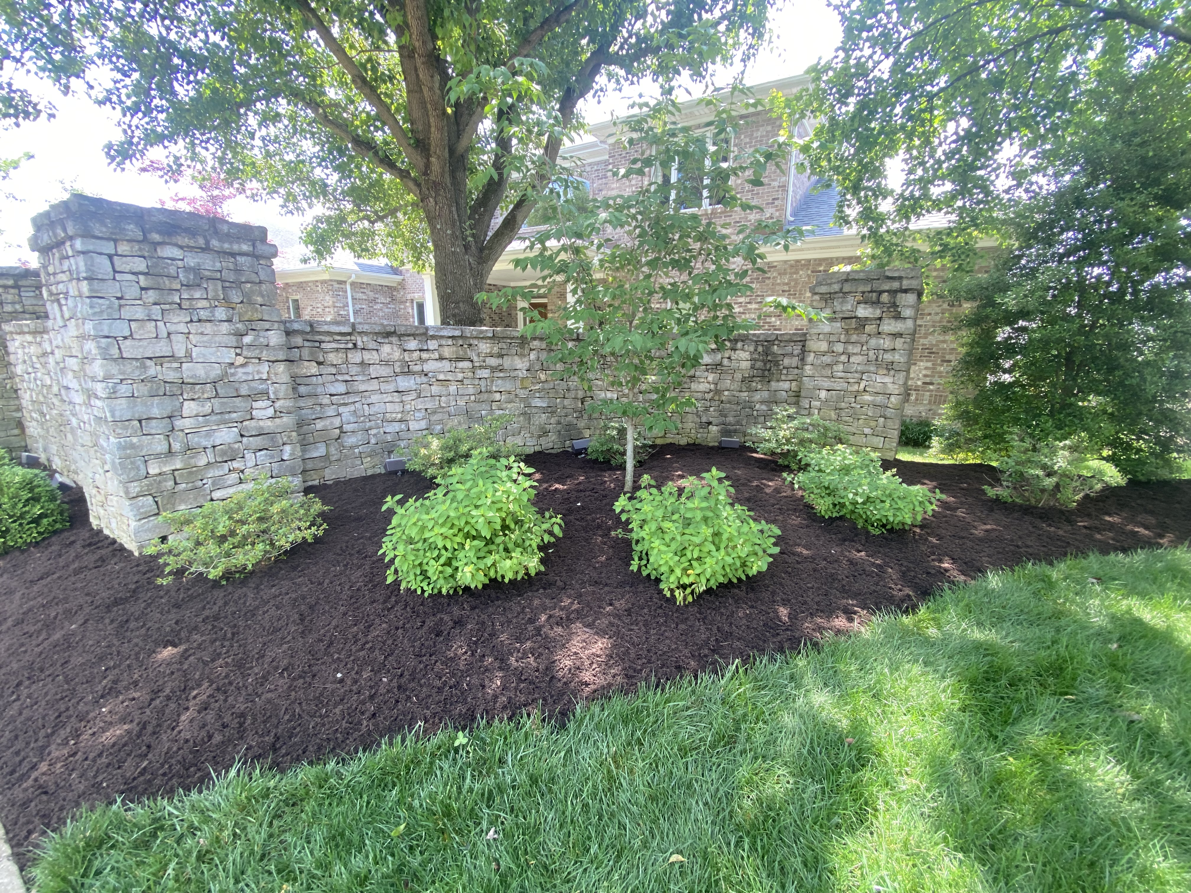 Stone wall landscape install with new shrubs and dark mulch