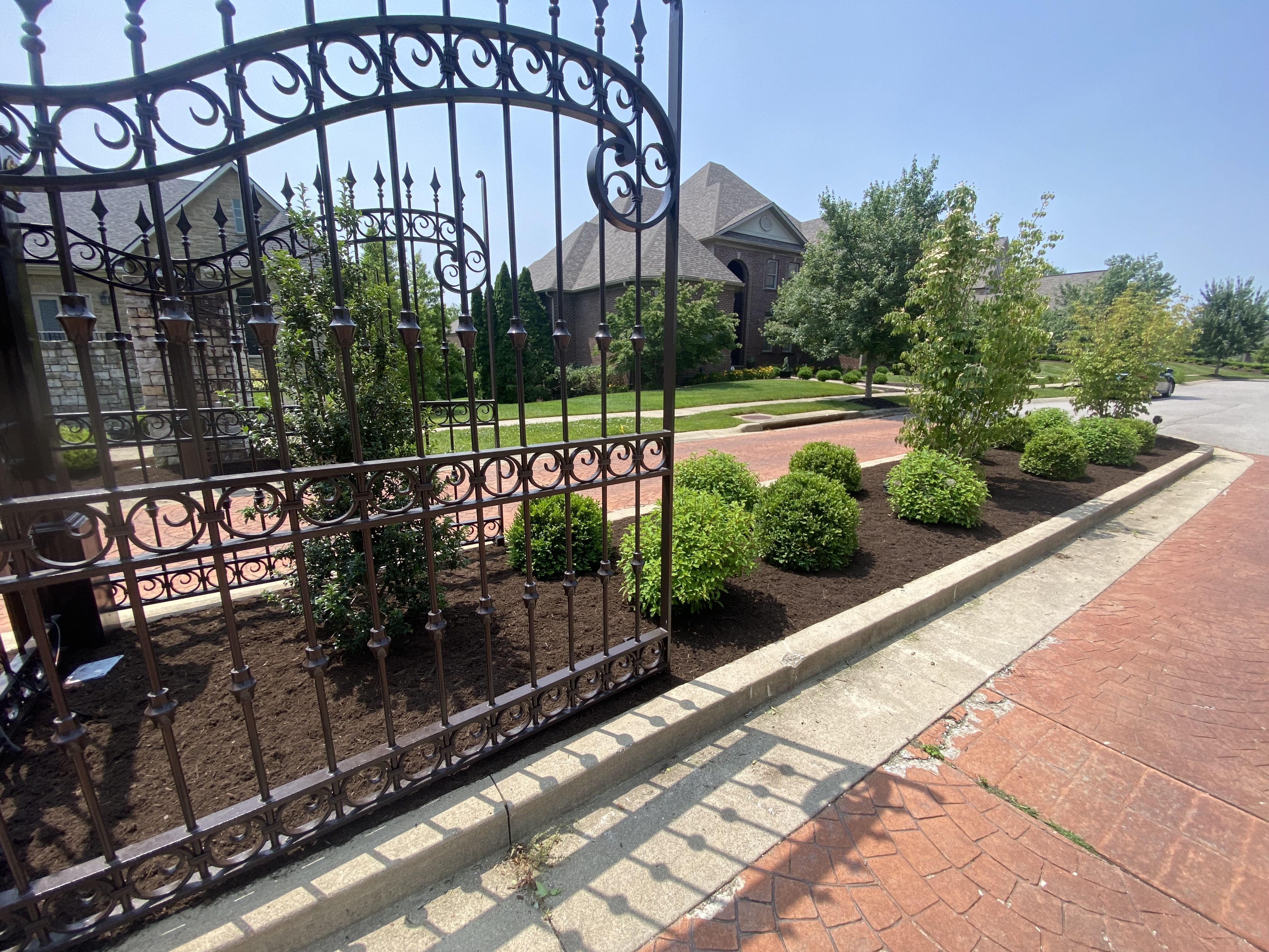 Estate entrance landscape install with boxwoods and trees along brick drive