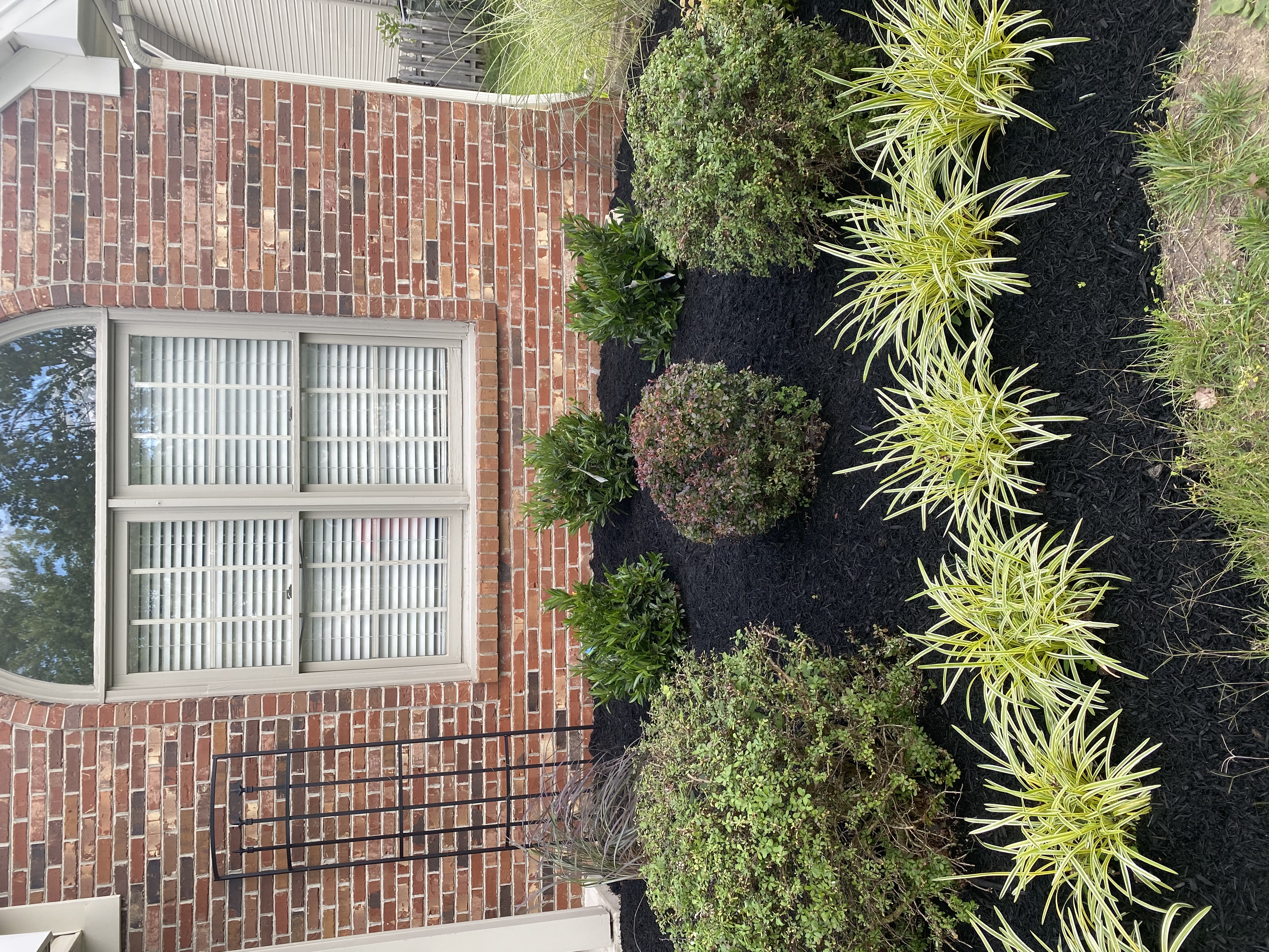 Front landscape bed refresh with black mulch, shrubs and ornamental grass