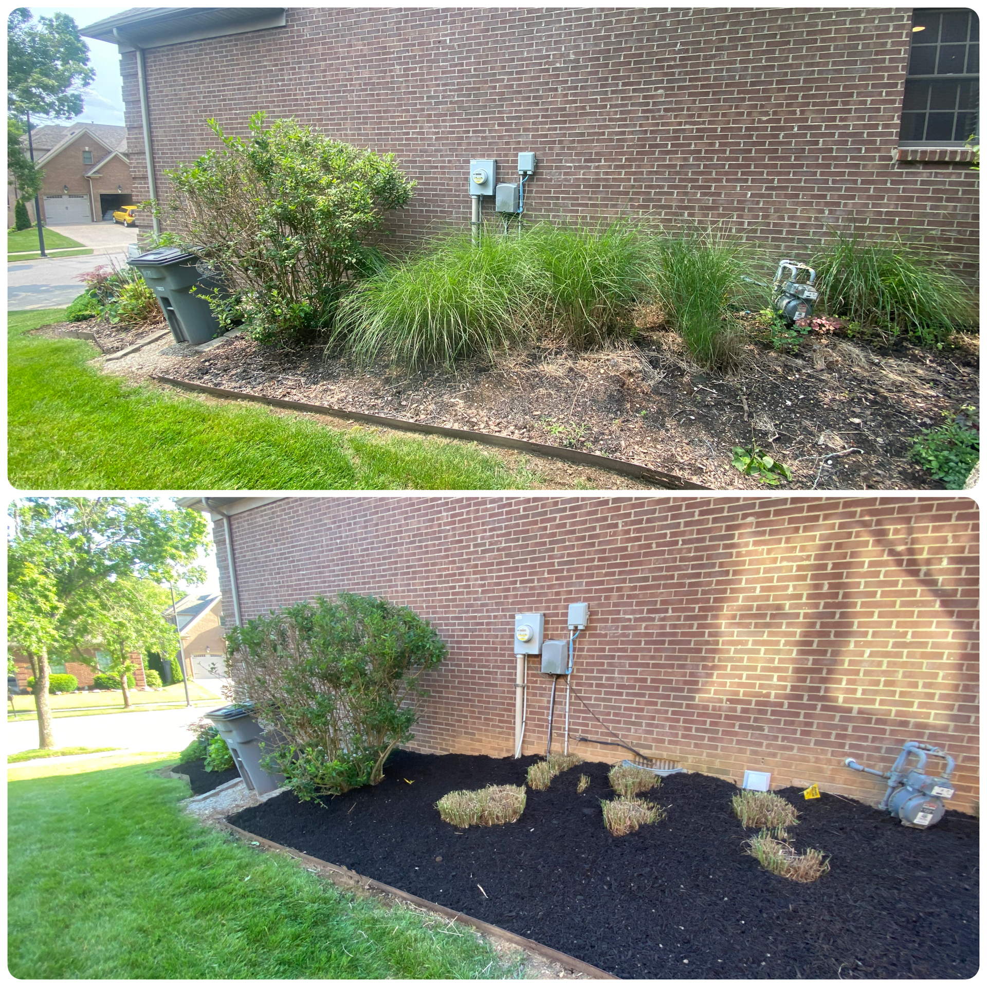 Side yard bed cleanup and mulching before and after
