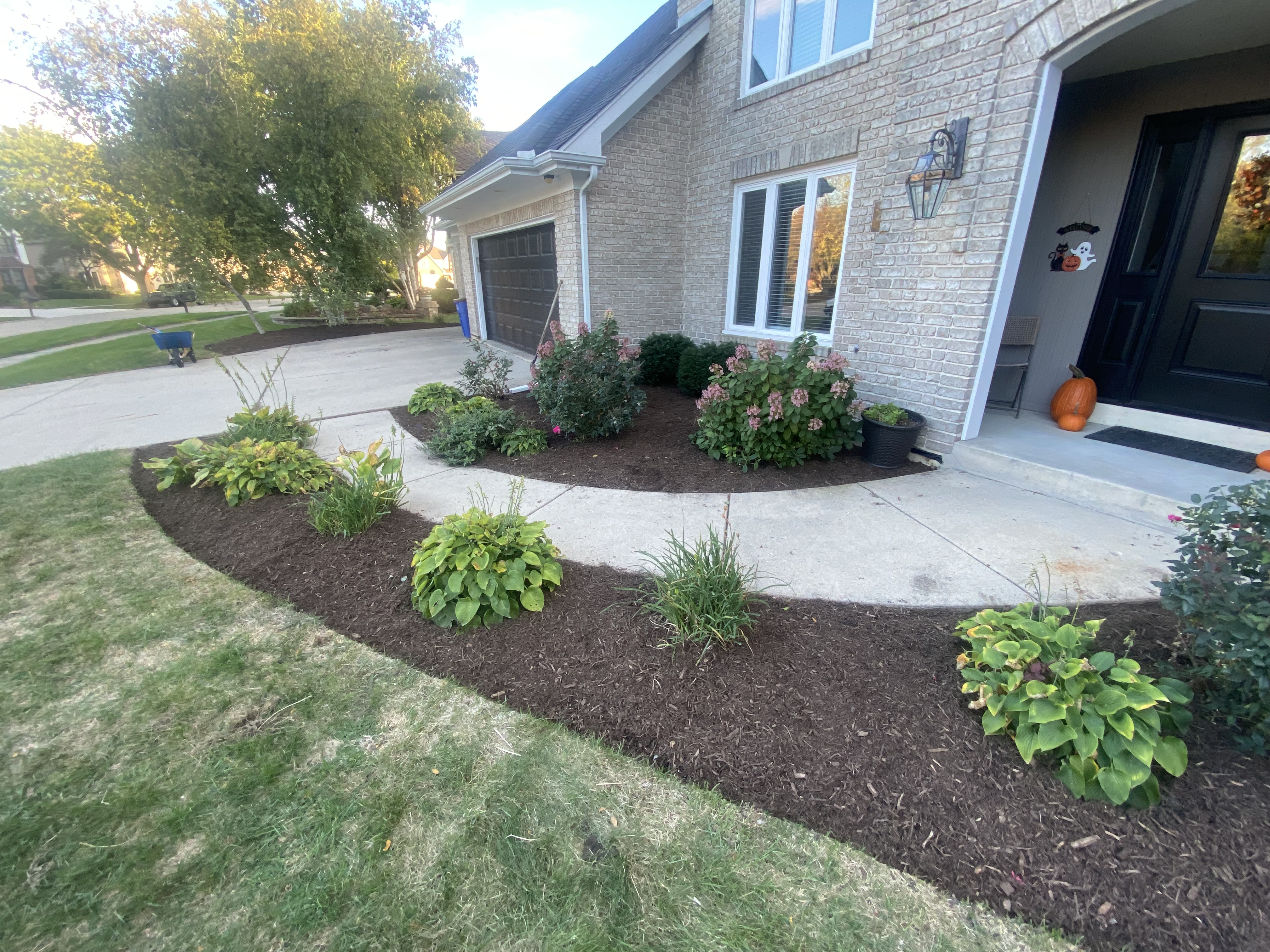 Front yard landscape bed with shrubs and flowering plants